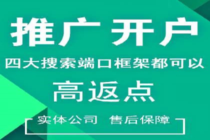 成功案例解析：SEO与SEM协同营销策略