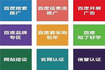 某电商平台的SEM推广策略——代运营公司的实践